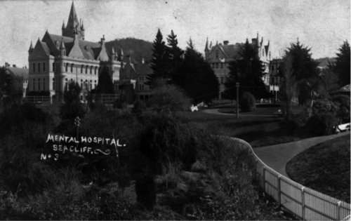 A black and white photo of Seacliff Hospital - an imposing castle-like building in, Dunedin, showing the grounds